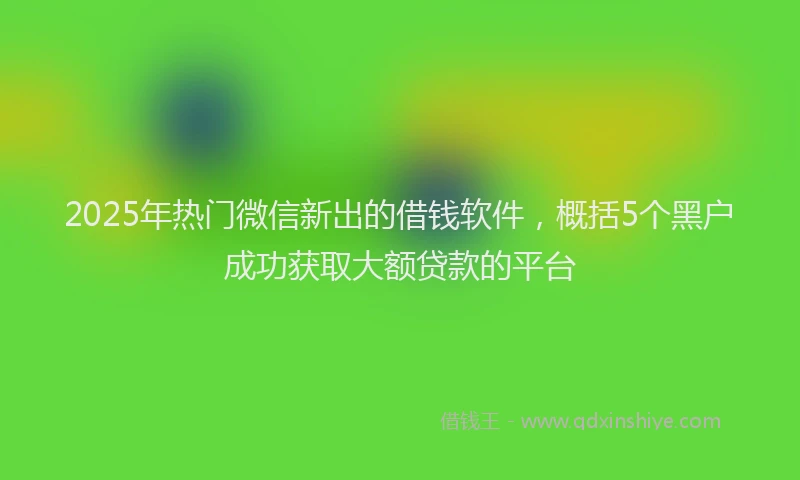 2025年热门微信新出的借钱软件，概括5个黑户成功获取大额贷款的平台