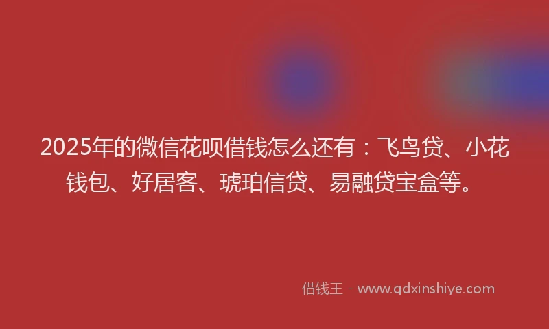 2025年的微信花呗借钱怎么还有：飞鸟贷、小花钱包、好居客、琥珀信贷、易融贷宝盒等。