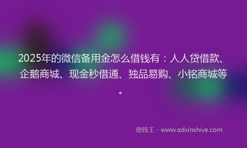 2025年的微信备用金怎么借钱有：人人贷借款、企鹅商城、现金秒借通、独品易购、小铭商城等。