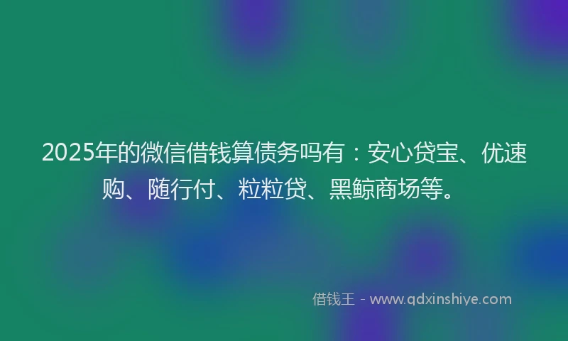 2025年的微信借钱算债务吗有：安心贷宝、优速购、随行付、粒粒贷、黑鲸商场等。