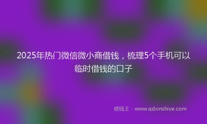 2025年热门微信微小商借钱，梳理5个手机可以临时借钱的口子