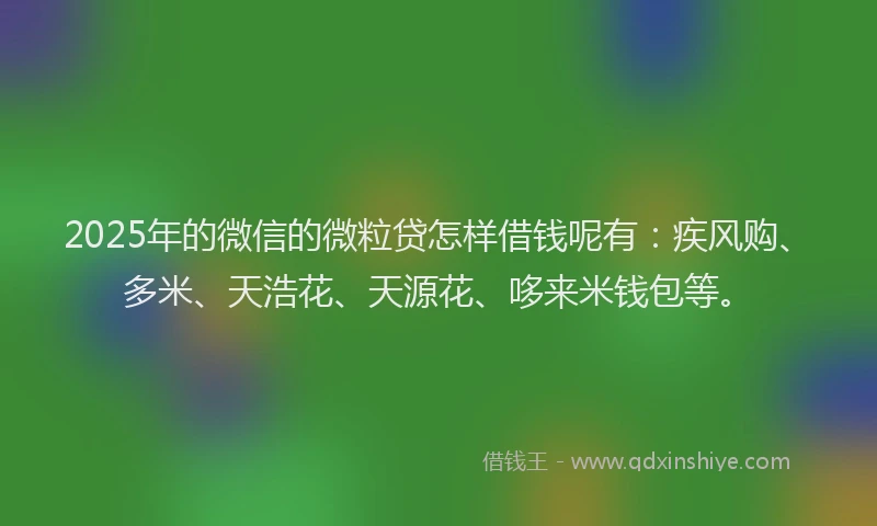 2025年的微信的微粒贷怎样借钱呢有：疾风购、多米、天浩花、天源花、哆来米钱包等。