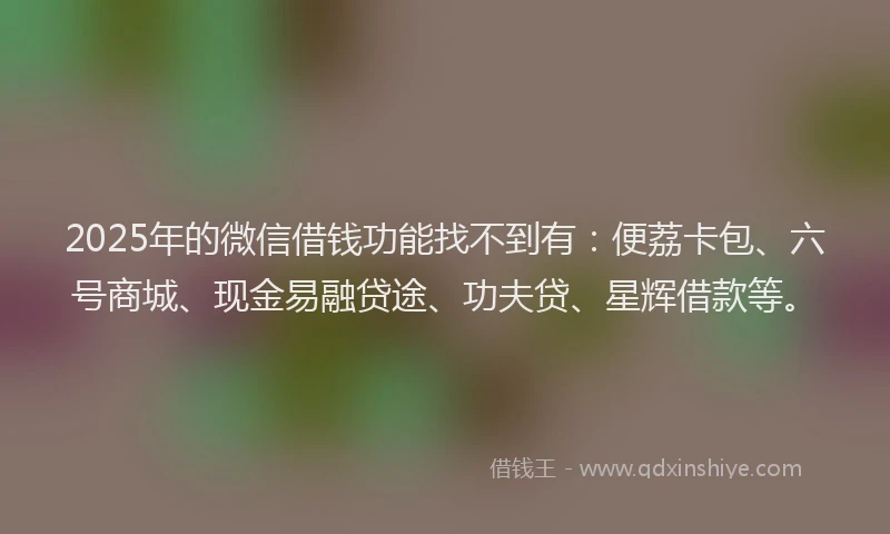2025年的微信借钱功能找不到有：便荔卡包、六号商城、现金易融贷途、功夫贷、星辉借款等。