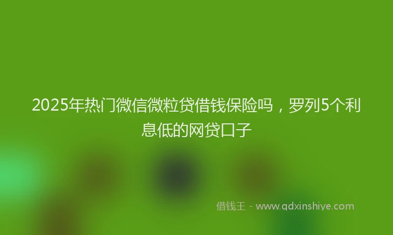 2025年热门微信微粒贷借钱保险吗，罗列5个利息低的网贷口子