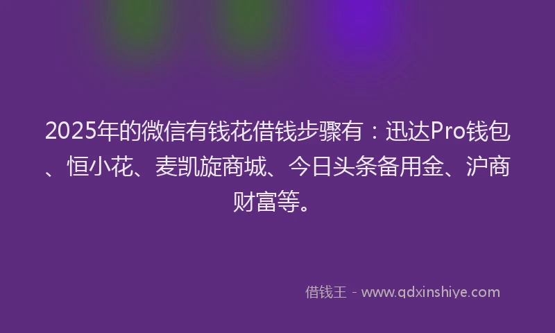 2025年的微信有钱花借钱步骤有：迅达Pro钱包、恒小花、麦凯旋商城、今日头条备用金、沪商财富等。