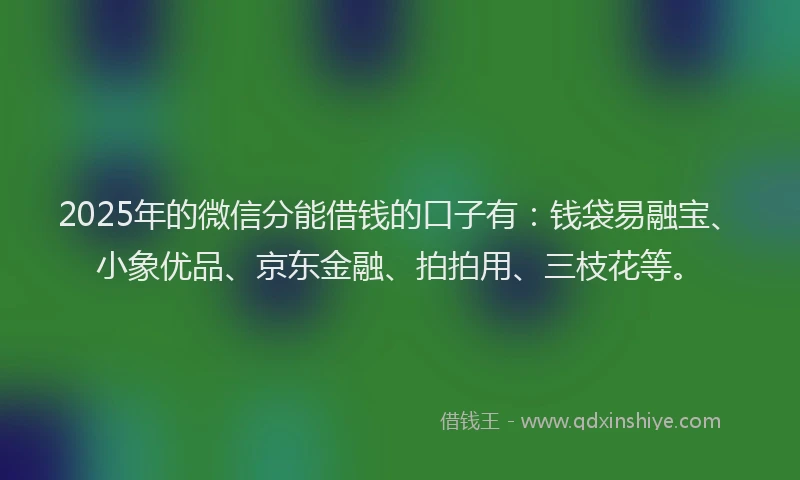 2025年的微信分能借钱的口子有：钱袋易融宝、小象优品、京东金融、拍拍用、三枝花等。