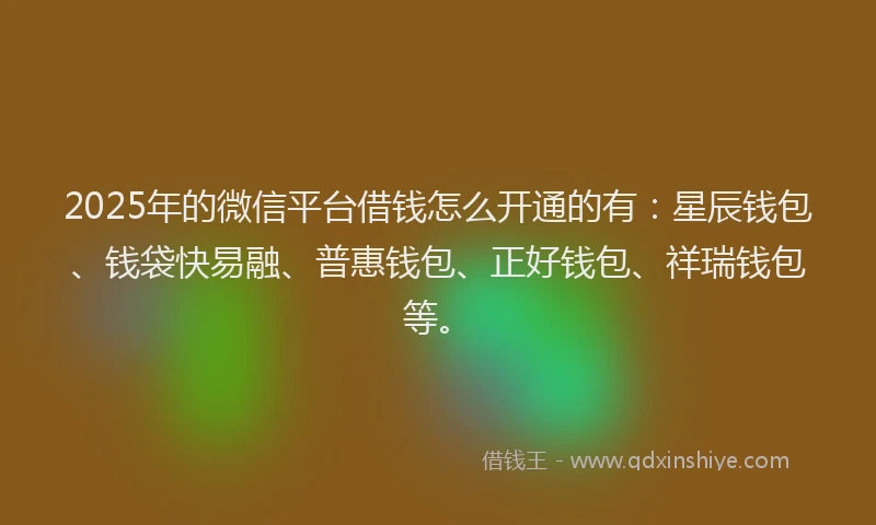 2025年的微信平台借钱怎么开通的有：星辰钱包、钱袋快易融、普惠钱包、正好钱包、祥瑞钱包等。