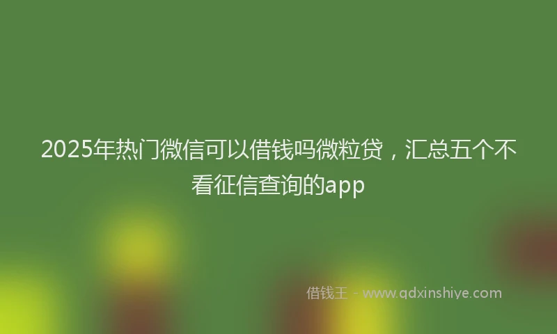 2025年热门微信可以借钱吗微粒贷，汇总五个不看征信查询的app