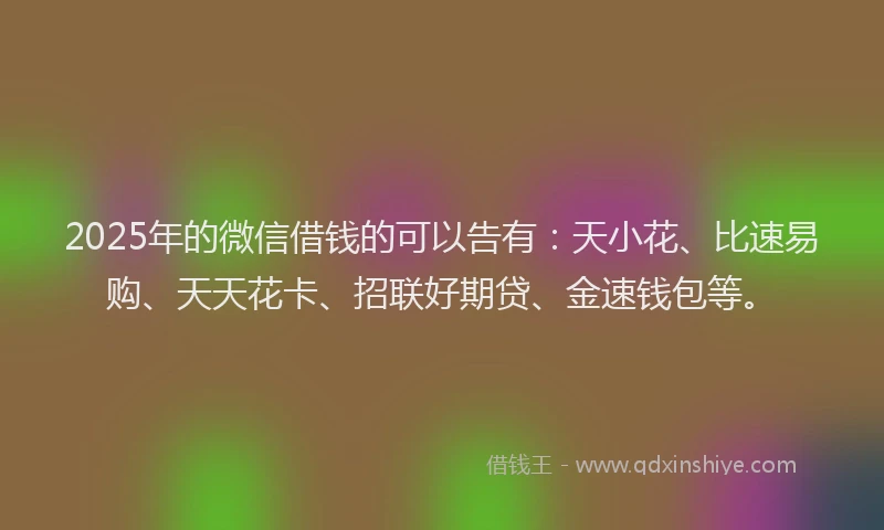 2025年的微信借钱的可以告有：天小花、比速易购、天天花卡、招联好期贷、金速钱包等。
