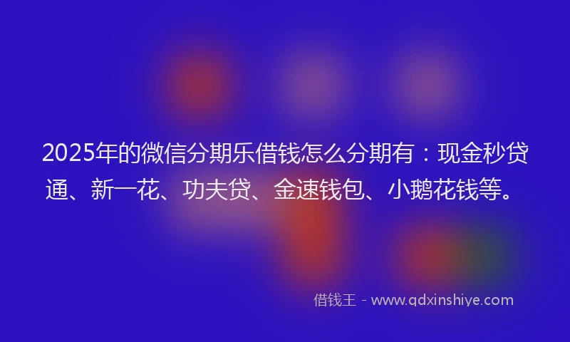 2025年的微信分期乐借钱怎么分期有：现金秒贷通、新一花、功夫贷、金速钱包、小鹅花钱等。