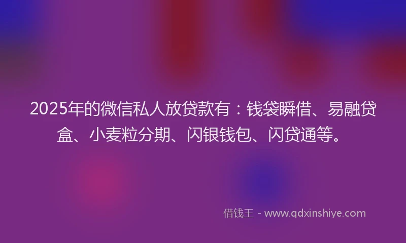 2025年的微信私人放贷款有：钱袋瞬借、易融贷盒、小麦粒分期、闪银钱包、闪贷通等。