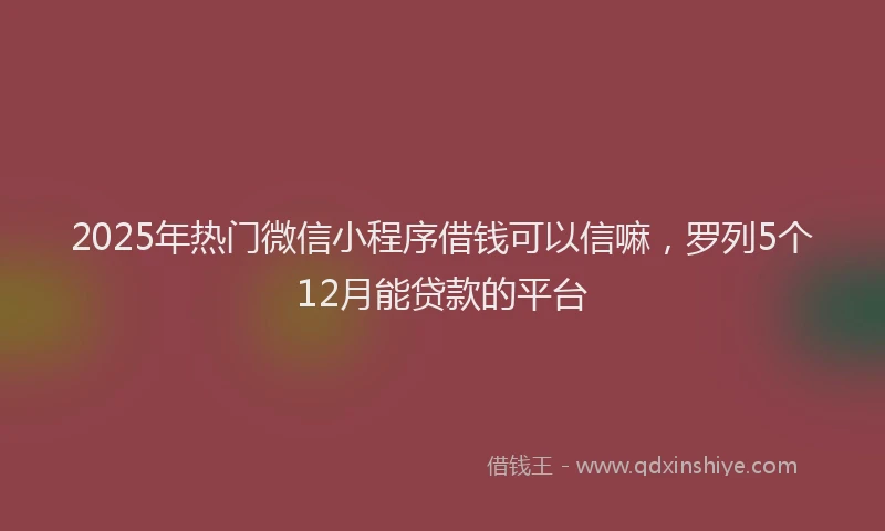 2025年热门微信小程序借钱可以信嘛，罗列5个12月能贷款的平台