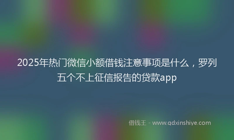 2025年热门微信小额借钱注意事项是什么，罗列五个不上征信报告的贷款app