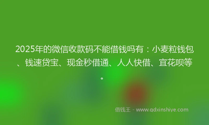 2025年的微信收款码不能借钱吗有：小麦粒钱包、钱速贷宝、现金秒借通、人人快借、宜花呗等。