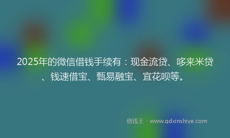 2025年的微信借钱手续有：现金流贷、哆来米贷、钱速借宝、甄易融宝、宜花呗等。
