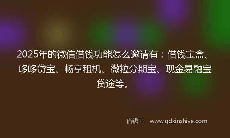 2025年的微信借钱功能怎么邀请有：借钱宝盒、哆哆贷宝、畅享租机、微粒分期宝、现金易融宝贷途等。
