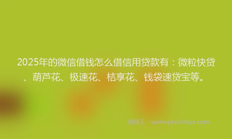 2025年的微信借钱怎么借信用贷款有：微粒快贷、葫芦花、极速花、桔享花、钱袋速贷宝等。