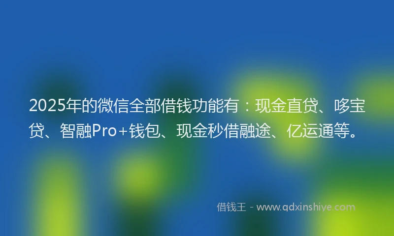 2025年的微信全部借钱功能有：现金直贷、哆宝贷、智融Pro+钱包、现金秒借融途、亿运通等。