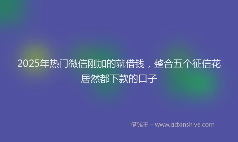 2025年热门微信刚加的就借钱，整合五个征信花居然都下款的口子