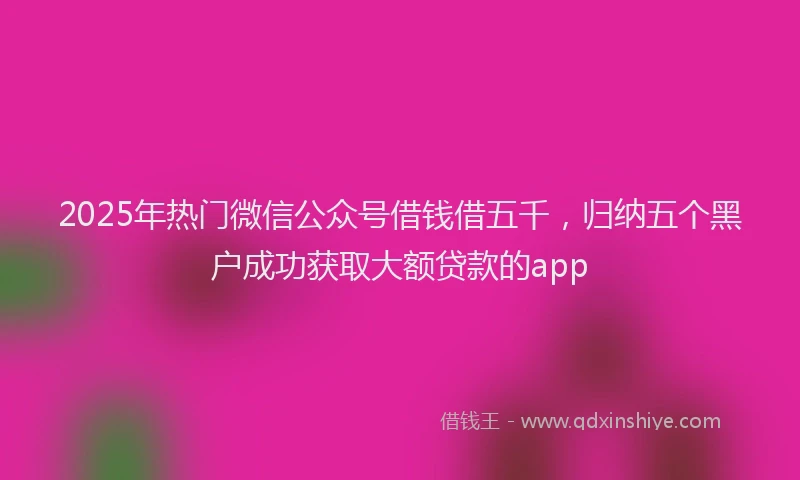 2025年热门微信公众号借钱借五千，归纳五个黑户成功获取大额贷款的app