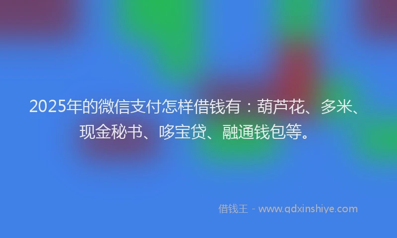 2025年的微信支付怎样借钱有：葫芦花、多米、现金秘书、哆宝贷、融通钱包等。