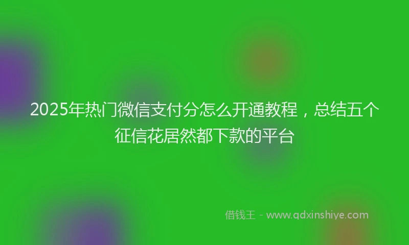 2025年热门微信支付分怎么开通教程，总结五个征信花居然都下款的平台