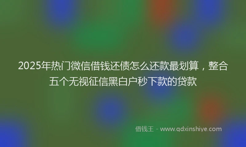 2025年热门微信借钱还债怎么还款最划算，整合五个无视征信黑白户秒下款的贷款