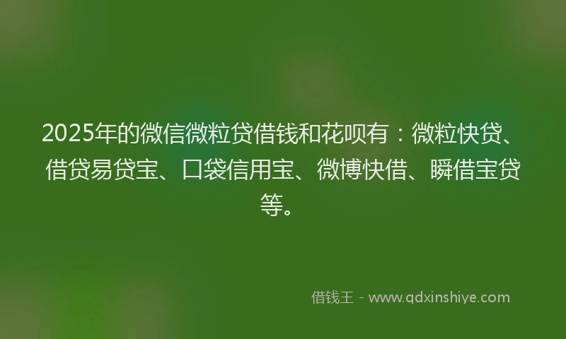 2025年的微信微粒贷借钱和花呗有：微粒快贷、借贷易贷宝、口袋信用宝、微博快借、瞬借宝贷等。