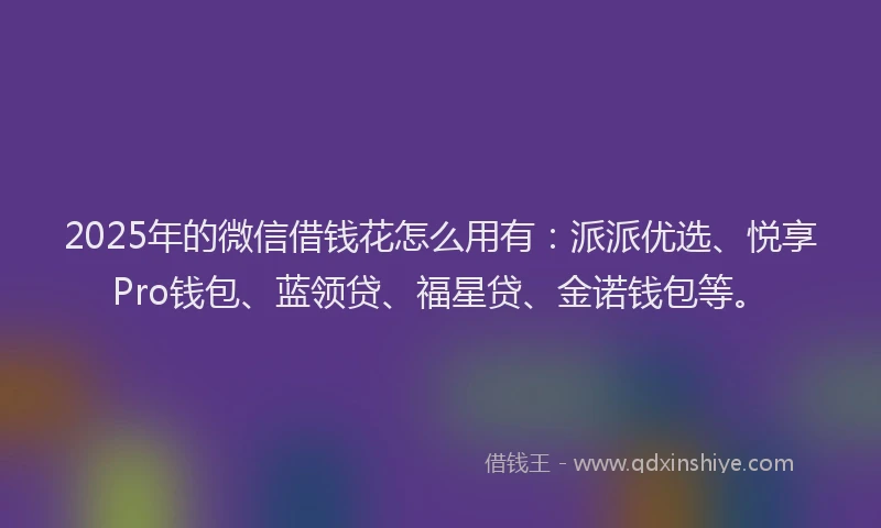 2025年的微信借钱花怎么用有：派派优选、悦享Pro钱包、蓝领贷、福星贷、金诺钱包等。