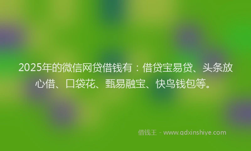 2025年的微信网贷借钱有：借贷宝易贷、头条放心借、口袋花、甄易融宝、快鸟钱包等。