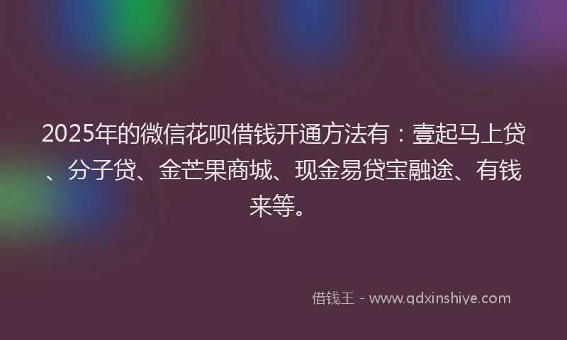 2025年的微信花呗借钱开通方法有：壹起马上贷、分子贷、金芒果商城、现金易贷宝融途、有钱来等。