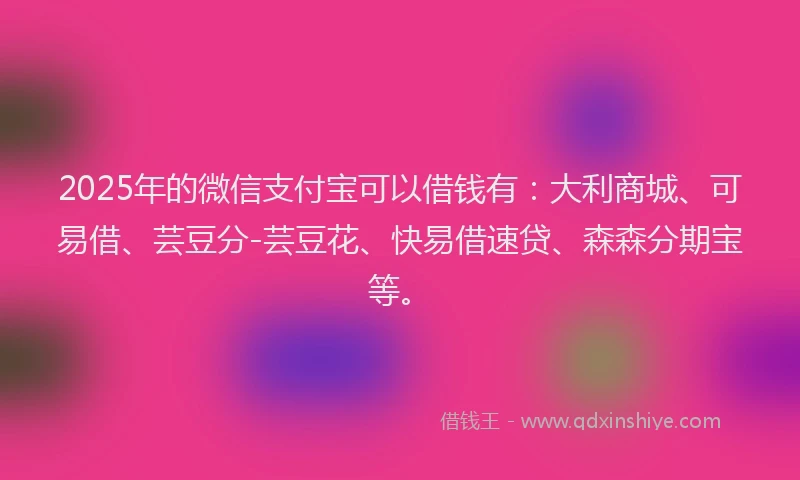 2025年的微信支付宝可以借钱有：大利商城、可易借、芸豆分-芸豆花、快易借速贷、森森分期宝等。