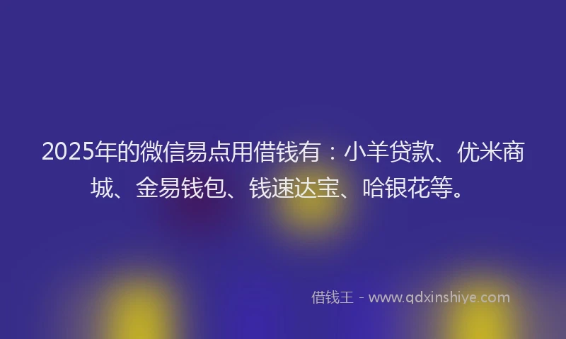 2025年的微信易点用借钱有：小羊贷款、优米商城、金易钱包、钱速达宝、哈银花等。