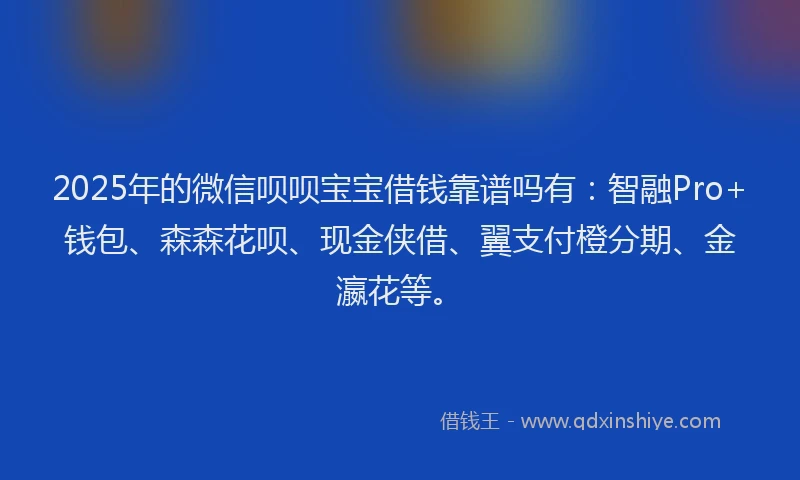 2025年的微信呗呗宝宝借钱靠谱吗有：智融Pro+钱包、森森花呗、现金侠借、翼支付橙分期、金瀛花等。