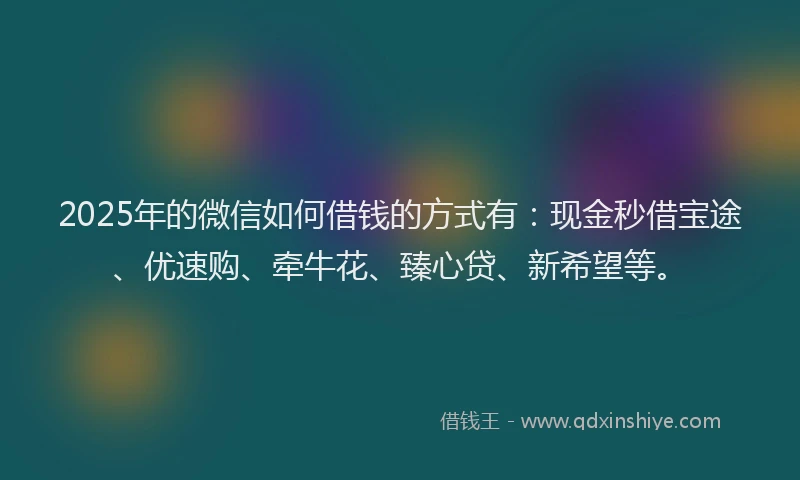 2025年的微信如何借钱的方式有：现金秒借宝途、优速购、牵牛花、臻心贷、新希望等。