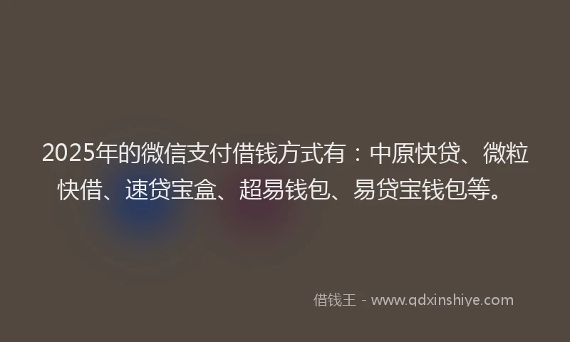 2025年的微信支付借钱方式有：中原快贷、微粒快借、速贷宝盒、超易钱包、易贷宝钱包等。