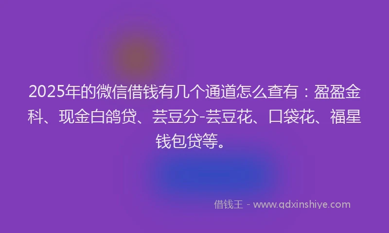 2025年的微信借钱有几个通道怎么查有：盈盈金科、现金白鸽贷、芸豆分-芸豆花、口袋花、福星钱包贷等。