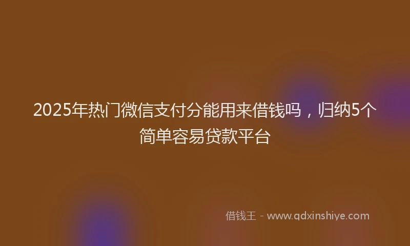 2025年热门微信支付分能用来借钱吗，归纳5个简单容易贷款平台
