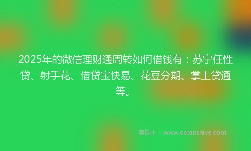 2025年的微信理财通周转如何借钱有：苏宁任性贷、射手花、借贷宝快易、花豆分期、掌上贷通等。