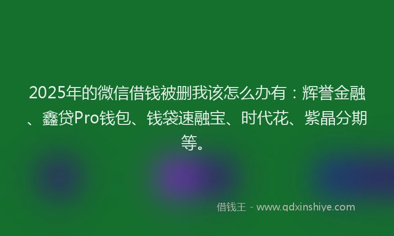 2025年的微信借钱被删我该怎么办有：辉誉金融、鑫贷Pro钱包、钱袋速融宝、时代花、紫晶分期等。