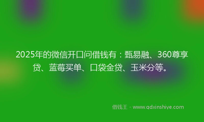 2025年的微信开口问借钱有：甄易融、360尊享贷、蓝莓买单、口袋金贷、玉米分等。