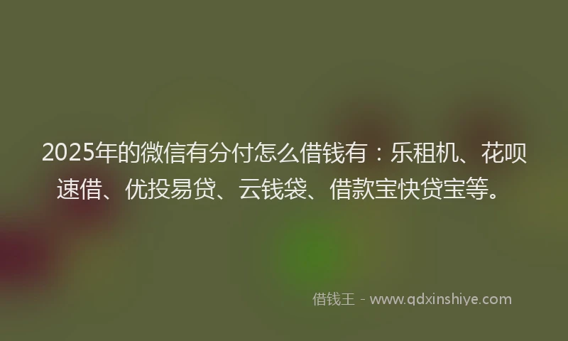 2025年的微信有分付怎么借钱有：乐租机、花呗速借、优投易贷、云钱袋、借款宝快贷宝等。