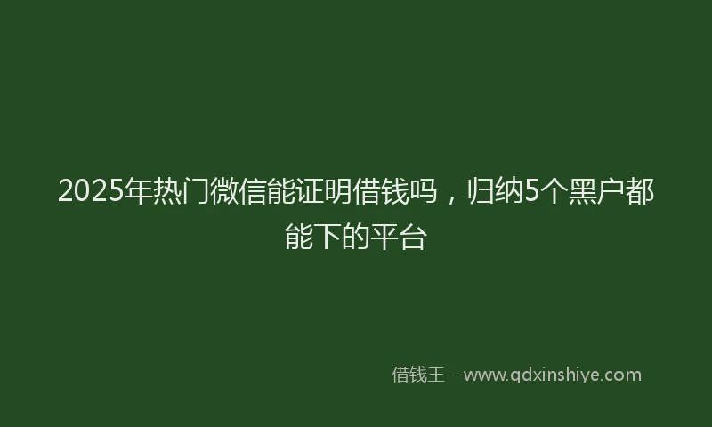 2025年热门微信能证明借钱吗，归纳5个黑户都能下的平台