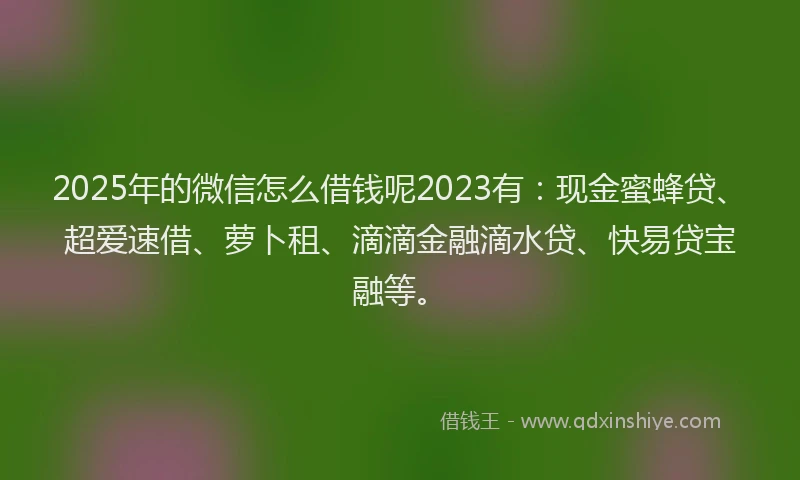 2025年的微信怎么借钱呢2023有：现金蜜蜂贷、超爱速借、萝卜租、滴滴金融滴水贷、快易贷宝融等。