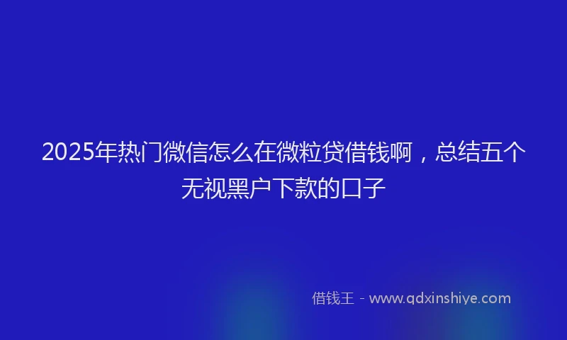 2025年热门微信怎么在微粒贷借钱啊，总结五个无视黑户下款的口子