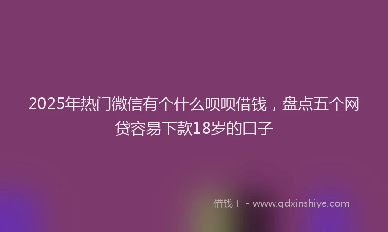 2025年热门微信有个什么呗呗借钱，盘点五个网贷容易下款18岁的口子