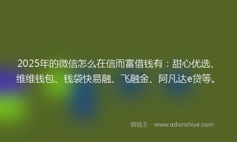 2025年的微信怎么在信而富借钱有：甜心优选、维维钱包、钱袋快易融、飞融金、阿凡达e贷等。