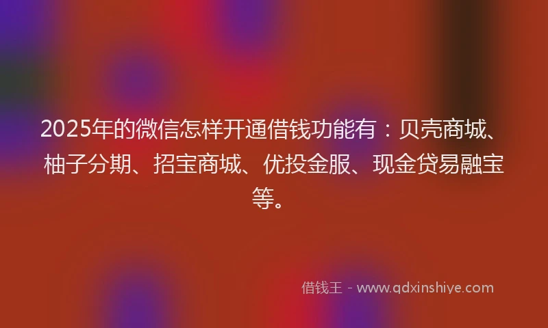 2025年的微信怎样开通借钱功能有：贝壳商城、柚子分期、招宝商城、优投金服、现金贷易融宝等。