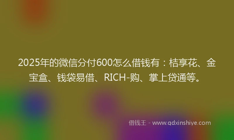 2025年的微信分付600怎么借钱有：桔享花、金宝盒、钱袋易借、RICH-购、掌上贷通等。