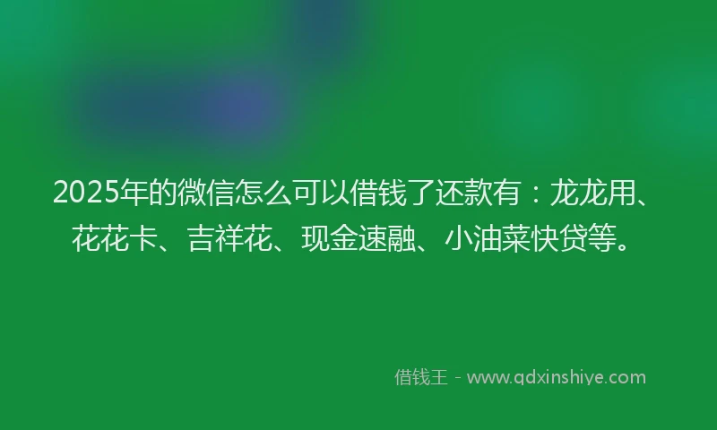 2025年的微信怎么可以借钱了还款有：龙龙用、花花卡、吉祥花、现金速融、小油菜快贷等。